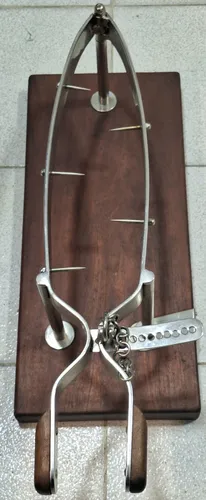 Gran Jamonero Español Acero Con Base De Madera 59 Cm B400 (Usado)