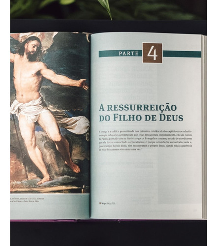 O Novo Testamento Em Seu Mundo | N. T. Wright E Michael F. Bird | Uma Introdução À História À Literatura E À Teologia Dos Primeiros Cristãos