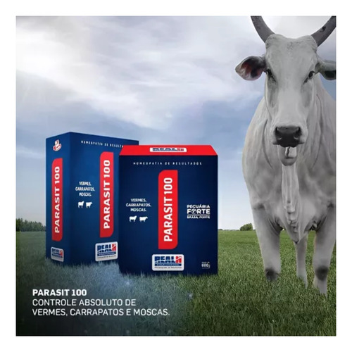Kit Com 6 Real H Parasit 100 600g