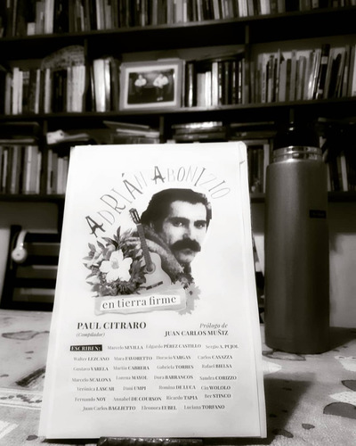 Imagen 2 de 3 de Adrián Abonizio En Tierra Firme, Paul Citraro - Libro