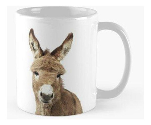 Taza Retrato De Burro Calidad Premium