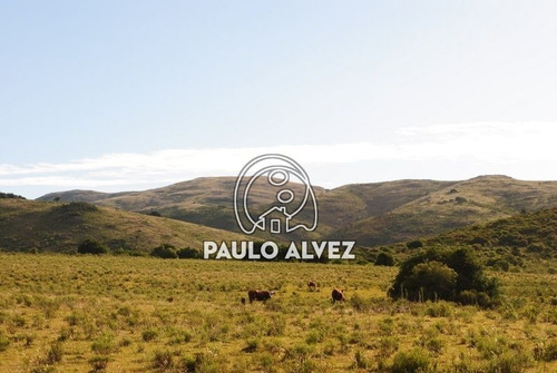 Imagen 18 de 30 de Chacras-venta-cerros-azules-ch070