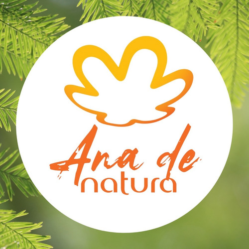 Natura Plant Kit Revitalización Post Química Repuesto