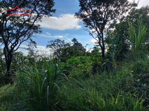 Imagem 7 de 8 de Terreno À Venda, 305 M² Por R$ 195.000,00 - Jardim Maristela - Atibaia/sp - Te1807