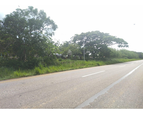 Imagen 2 de 17 de Finca En Venta Ubicada En San Jose De Sanare Estado Falcon.