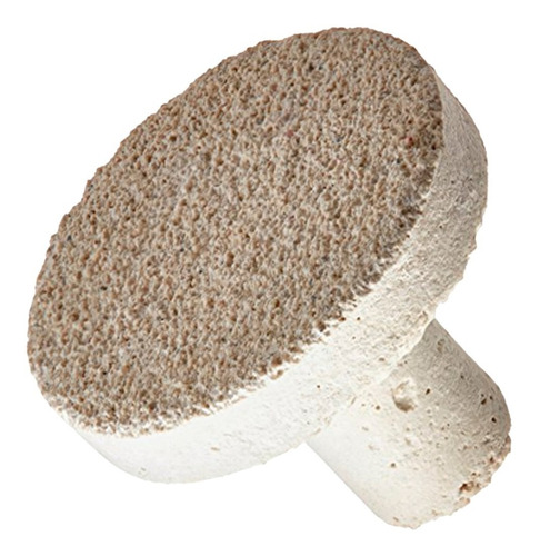 Imagen 1 de 7 de Coral Frag Plugs X5 Soporte Solido Corales Reef Acuario