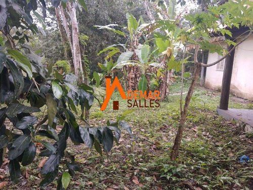 Imagem 25 de 30 de Chacara - Ch00103 - 69404088