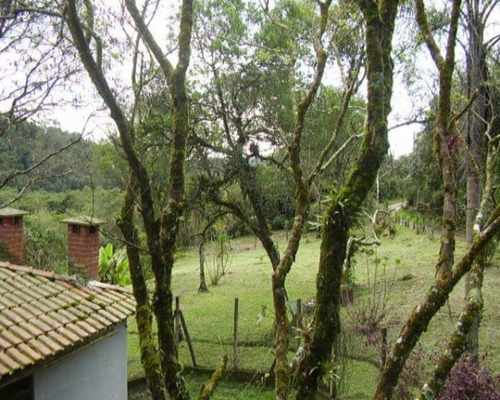Imagem 3 de 15 de Sítio Em Biritiba Ussu - Mogi Das Cruzes - 1816