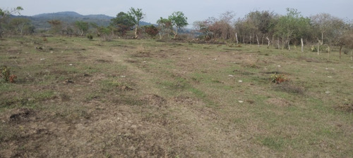 Imagen 2 de 7 de Manzanas De Tierra A La Venta