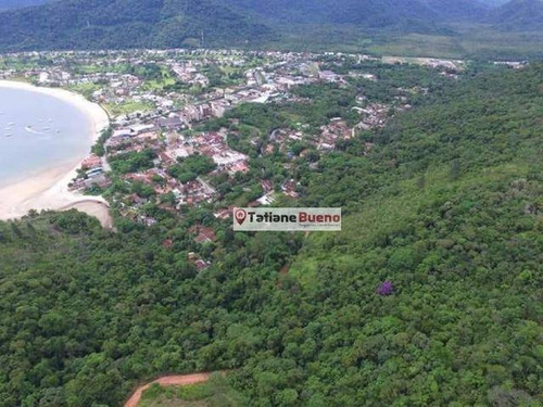 Imagem 3 de 5 de Área À Venda, 18350 M² Por R$ 2.200.000 - Praia Da Tabatinga - Ubatuba/sp - Ar0037