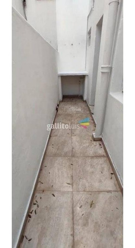 Imagen 10 de 10 de Hermoso Apto. 2 Dorm,patio.buceo!!