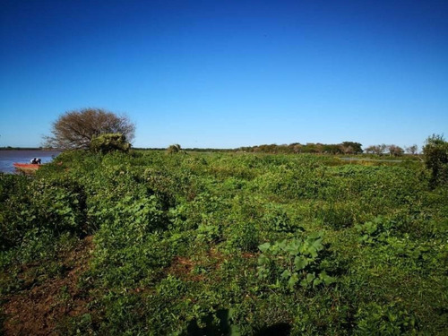 Imagen 2 de 29 de Campo De Isla Ganadero, 2.000 Has Sobre El Paranacito