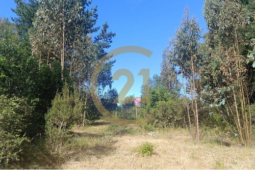 Venta Parcela Con Casa 2d 1b, Camino A Santa Juana