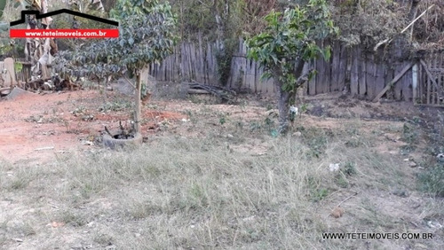 Imagem 5 de 11 de Chácara Em Pinhalzinho- Sp - 228