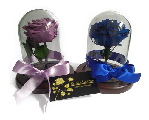Rosa Preservada Premium 100% Natural + Cúpula + Envio Gratis