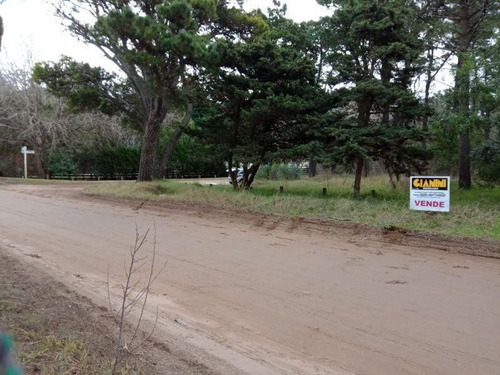 Imagen 2 de 4 de Lote | Av. Divisadero