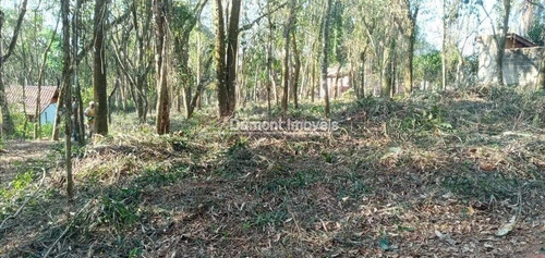 Imagem 2 de 9 de Condominio Ecológico Na Represa. Cod 379