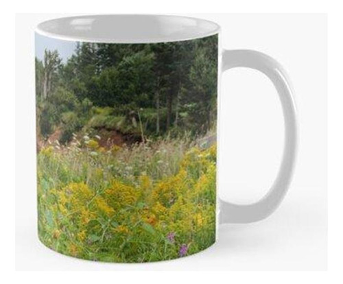 Taza Flores En Burntcoat Head, Nueva Escocia Calidad Premium