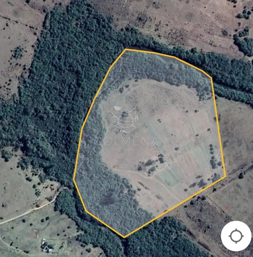 Campo 11 Has Con 683 M2 En Paraje Pueblo Eden