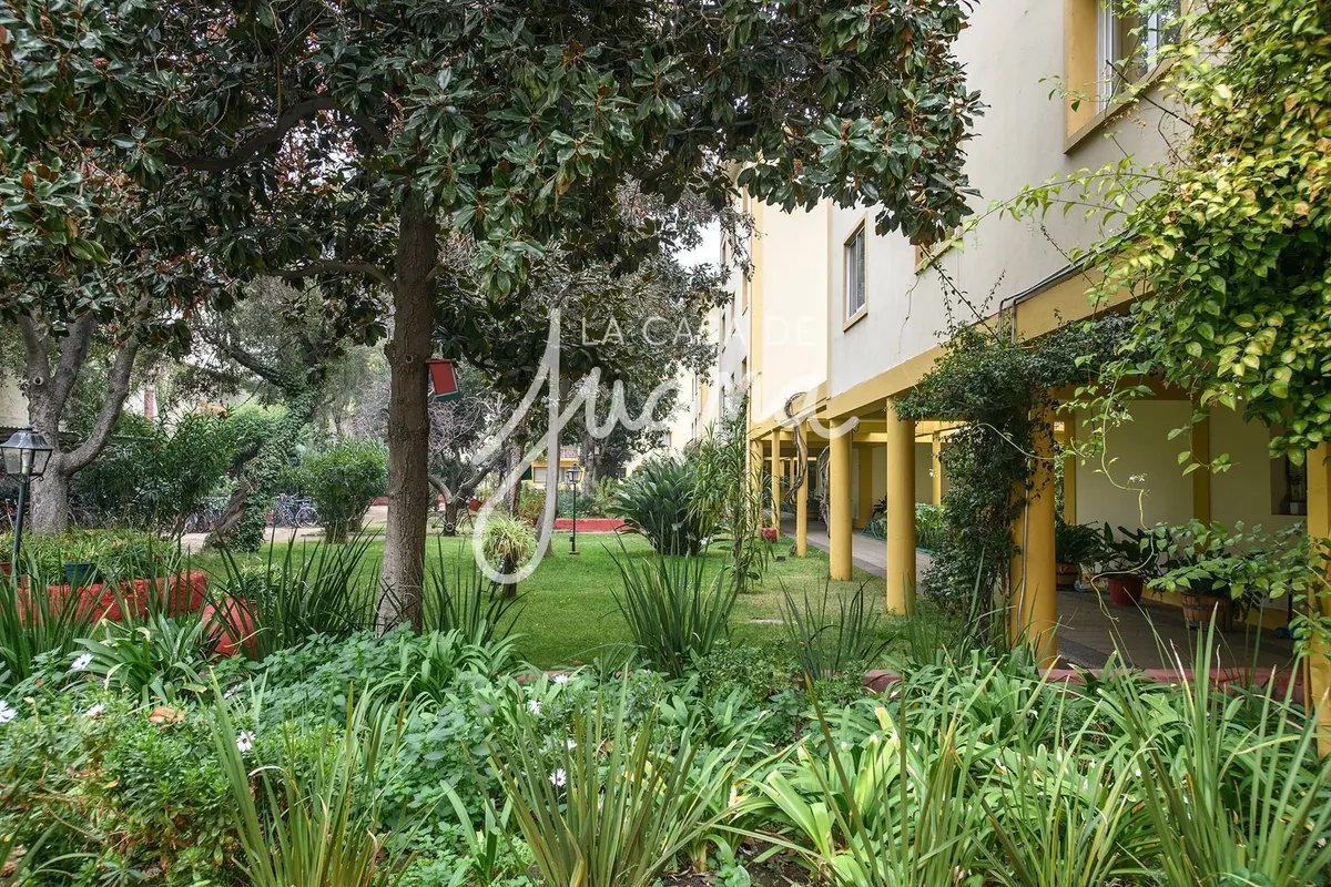 Imagen 2 de 19 de Parque Bustamante, Remodelado Y Con Jardines