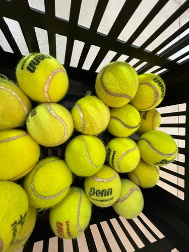 Penn 30 Pelotas Tenis Padle Usadas Mascotas Entretenimiento 