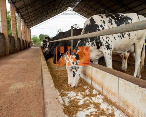 Imagem 13 de 21 de Fazenda - Fa00002 - 69904513