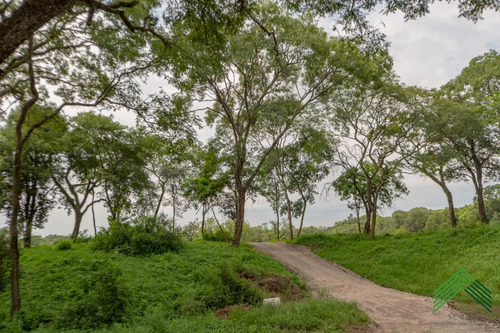 Imagen 20 de 25 de Vendo Terreno En El Retiro - San Lorenzo