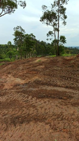(k,.a) - 50mil A Vista R$ 15.000,00 De Entrada E Saldo Reman