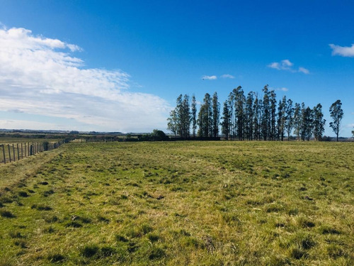 Vendo Campo Sobre Ruta 39 A 20 Minutos De Punta Del Este
