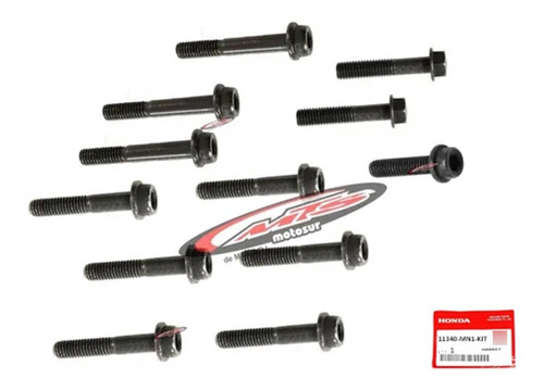 Kit Tornillos Tapa Alternador Original Honda Xr 600 Moto Sur