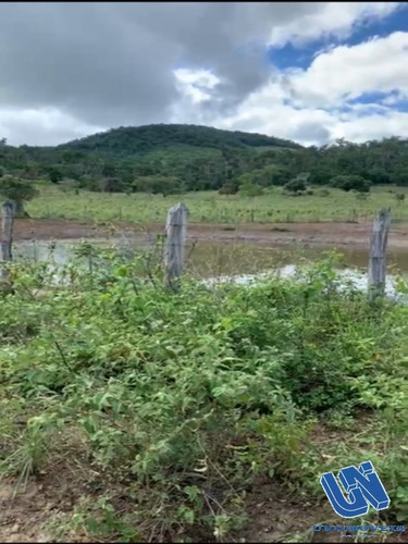 Imagem 10 de 14 de Fazenda Com 2.500 Tarefas Em Jiquiriça - Bahia - Afd061 - 70714272