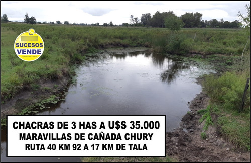 Chacras De 3 Has En Venta En Ruta 40 Kilometro 92.500 A 17 Km De Tala Maravilla De Cañada Chury 