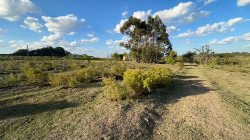 Venta Campo De 5has Casa De Material Sobre Ruta 33, Entrega Y Cuotas