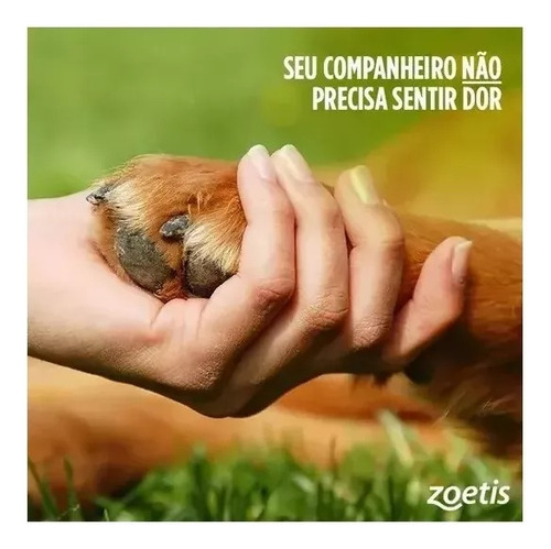 Trocoxil 20mg Cães Zoetis C/ 2 Comprimidos