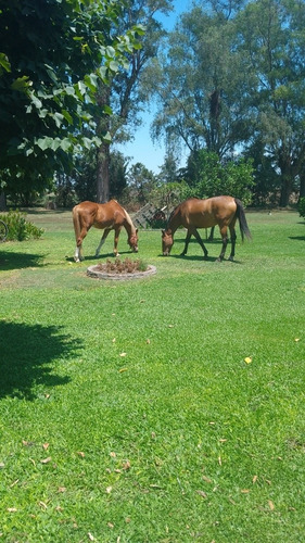 Imagen 13 de 14 de Alquiler Estancia / Quinta. Casamiento, Cumpleaños, Eventos