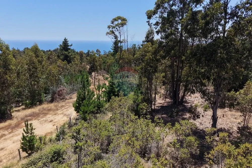 Extraordinario Terreno En La Polcura, 6.575 M²