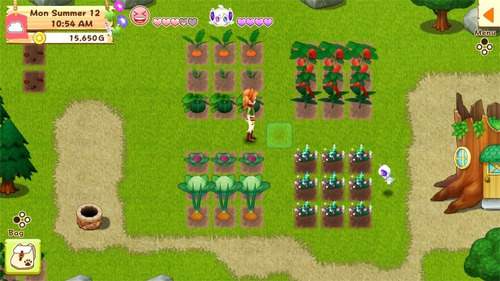 Harvest Moon Light Of Hope Special Edition Nintendo Switch