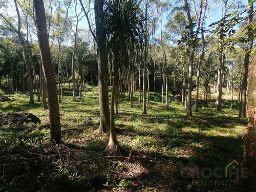 Se Vende Terreno En La Concepción Veracruz