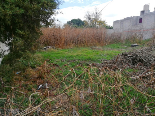 Terreno En Renta Cerca Centro. Varios Negocios O Giros.