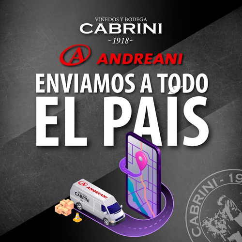 Caja Mixta Cabrini Tradicional Malbec Cabernet X 6 Unidades