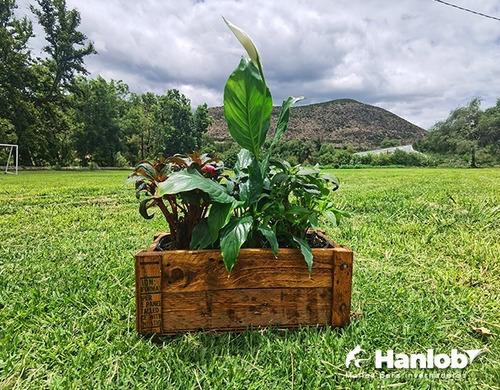 Imagen 2 de 10 de Maceta De Madera Tipo Jardinera De Barrote Chica