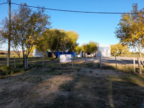 Imagen 3 de 7 de Local Con Terreno