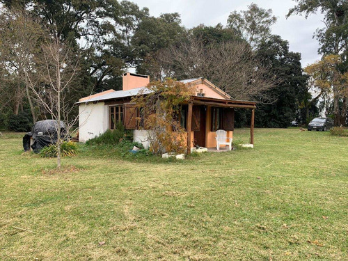 Imagen 12 de 19 de Venta - Hermosa Chacra De 8,7 Hectareas