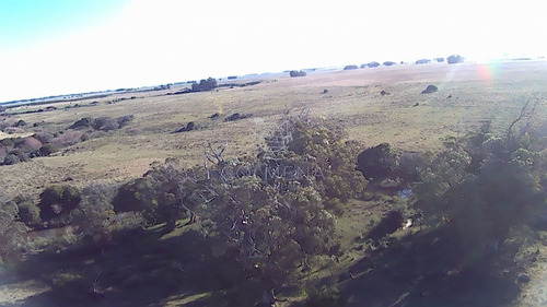 Imagen 20 de 28 de Venta Campo Ideal Para Fraccionar En Chacras Codigo 6003 - Las Garzas