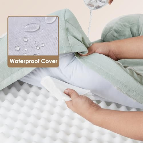 Cama Ortopédica Para Perros Medianos, Espuma Viscoelástica,