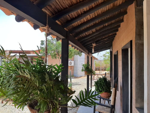 Imagen 8 de 10 de En Venta Casa De Campo Paraguana / En Buenas Manos