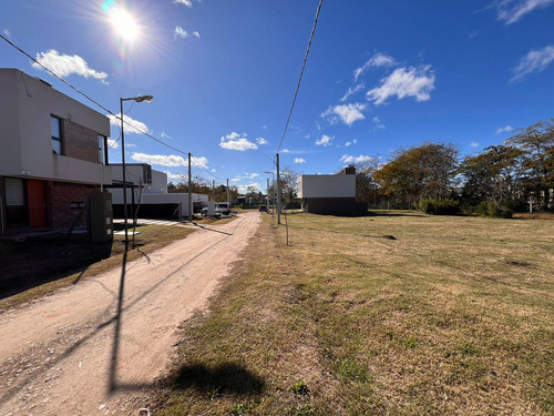 Lotes 150 Entre 41 Y 42 - Liquidámbar San Carlos