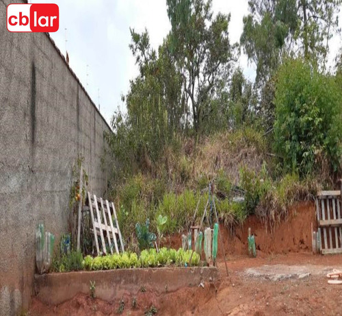 Imagem 8 de 11 de Casa - Ca00820 - 69448380