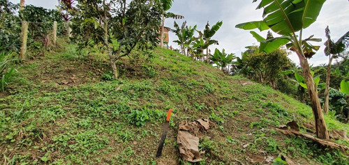 Imagen 15 de 20 de Hermosa Finca Cerca A Pereira