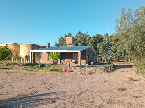 Importante Terreno Con Casa Nueva, En San Rafael Mendoza.